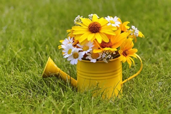 gelbe Gießkanne mit Blumenstrauß